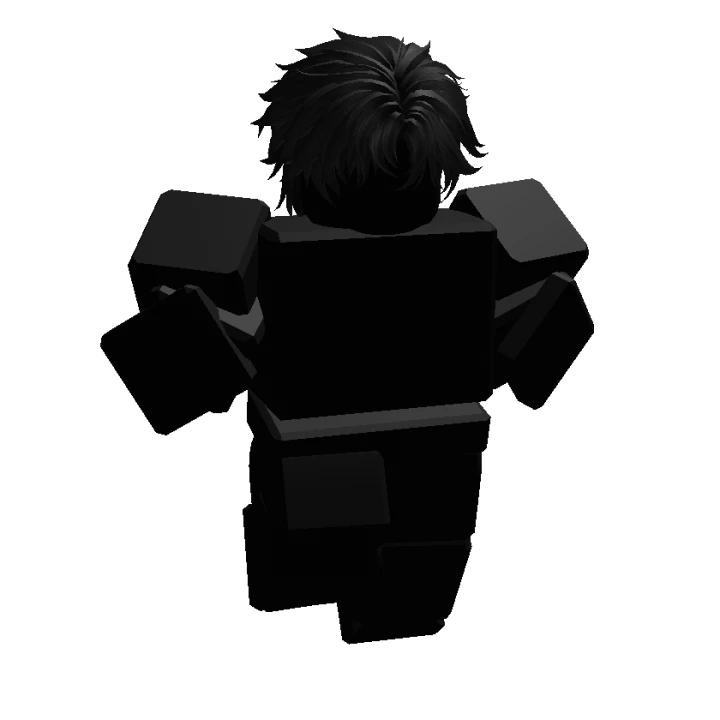About Roblox Development